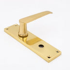 TSS Victorian Lever on Plate Furniture