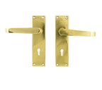 TSS Victorian Lever on Plate Furniture