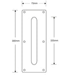 ASEC Plate Mounted 75mm Stainless Steel Pull Handle