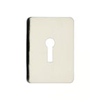 TSS Large UK Stick On Escutcheon