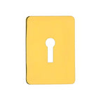 TSS Large UK Stick On Escutcheon